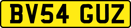 BV54GUZ