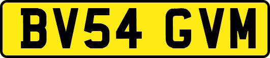 BV54GVM