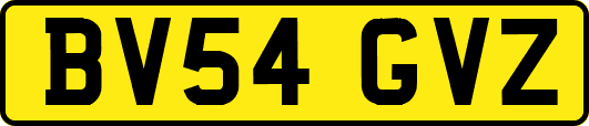 BV54GVZ