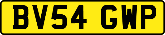 BV54GWP