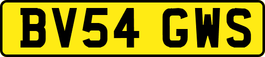 BV54GWS