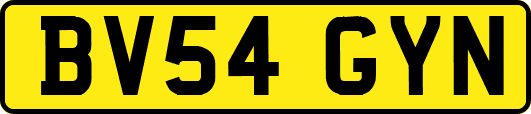 BV54GYN