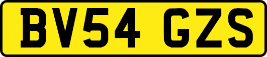BV54GZS