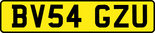 BV54GZU