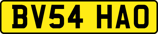 BV54HAO