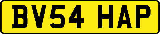 BV54HAP