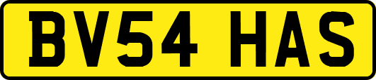 BV54HAS