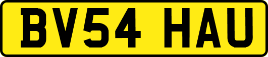 BV54HAU