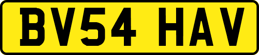 BV54HAV