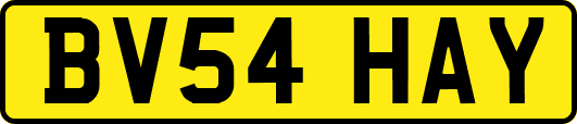BV54HAY