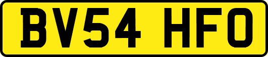 BV54HFO