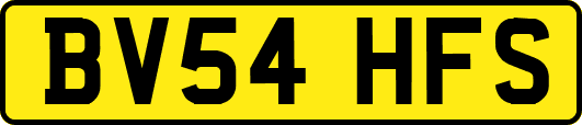 BV54HFS