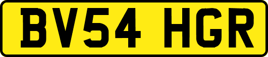 BV54HGR