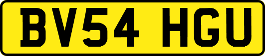 BV54HGU
