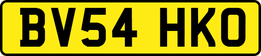 BV54HKO