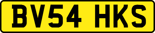BV54HKS