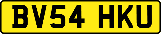 BV54HKU