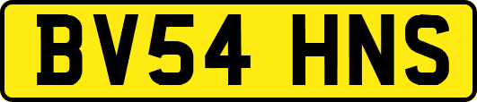 BV54HNS