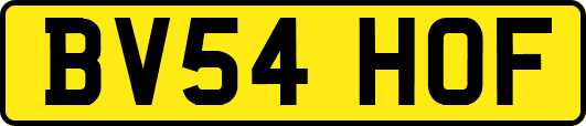 BV54HOF