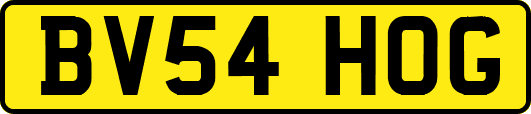 BV54HOG