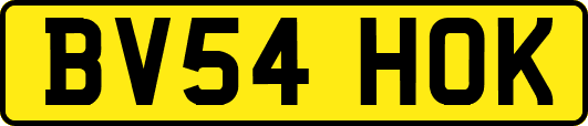BV54HOK