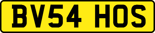 BV54HOS