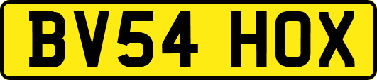 BV54HOX