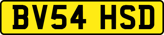 BV54HSD