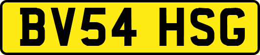BV54HSG