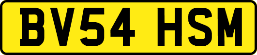 BV54HSM