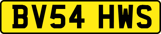 BV54HWS