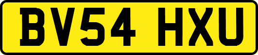 BV54HXU