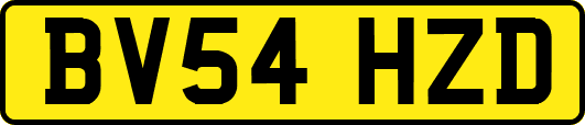 BV54HZD