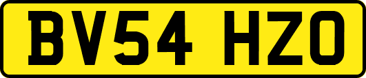 BV54HZO