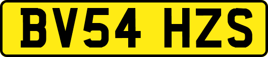 BV54HZS