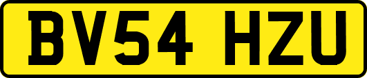BV54HZU