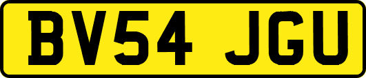 BV54JGU