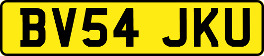 BV54JKU