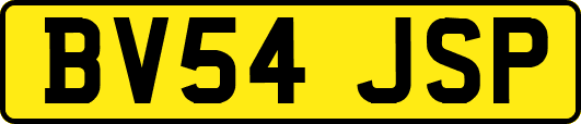 BV54JSP