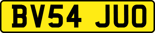 BV54JUO
