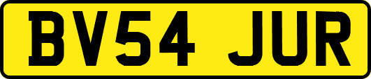 BV54JUR