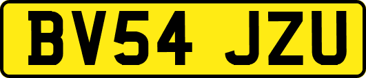 BV54JZU