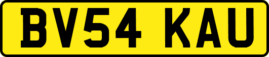 BV54KAU