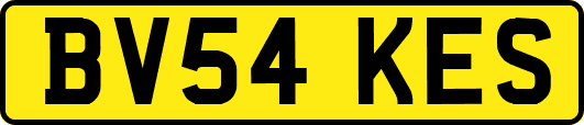 BV54KES