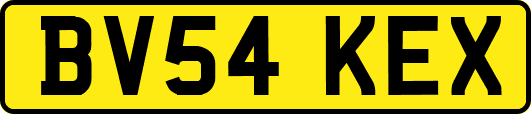 BV54KEX