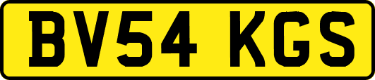 BV54KGS