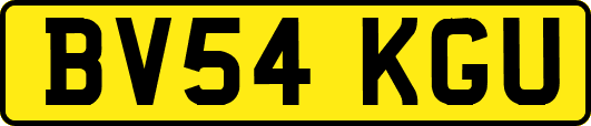 BV54KGU