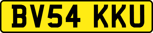 BV54KKU