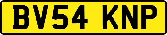 BV54KNP