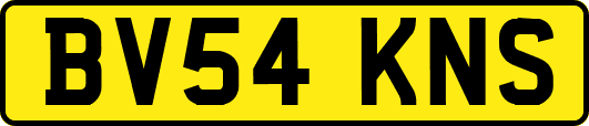 BV54KNS